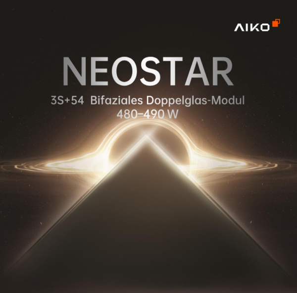 Bild 2026 01 25 160057526